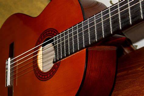 Guitar
