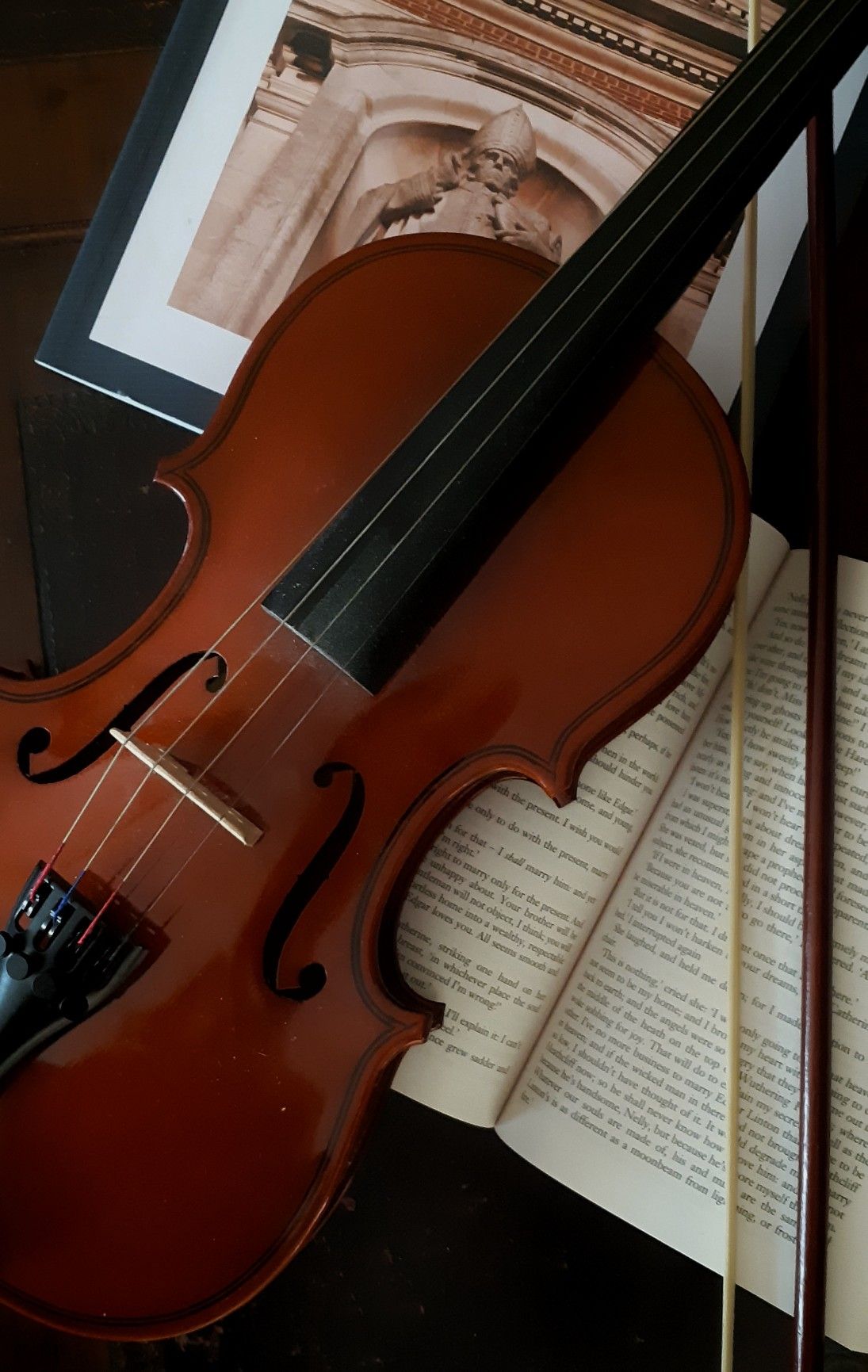 Violin